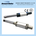 American Standard Stainless Steel Truck Linear Customized Pneumatic Air Cylinder